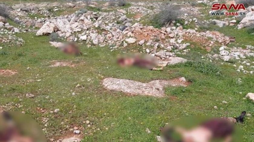 Iranpress: Syrian army eliminates 