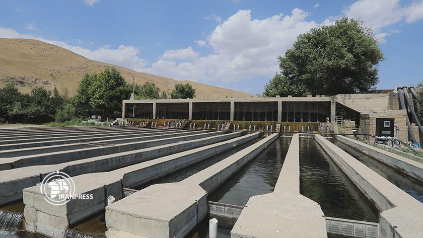 Iranpress: Iran, pioneer in nanotechnology