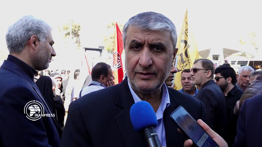 Iranpress: AEOI says Int