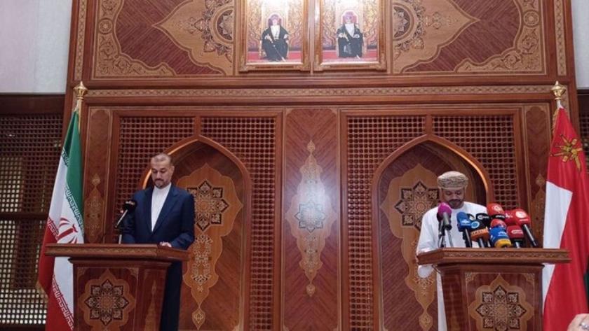 Iranpress: Amir-Abdollahian: Iran; island of stability in region