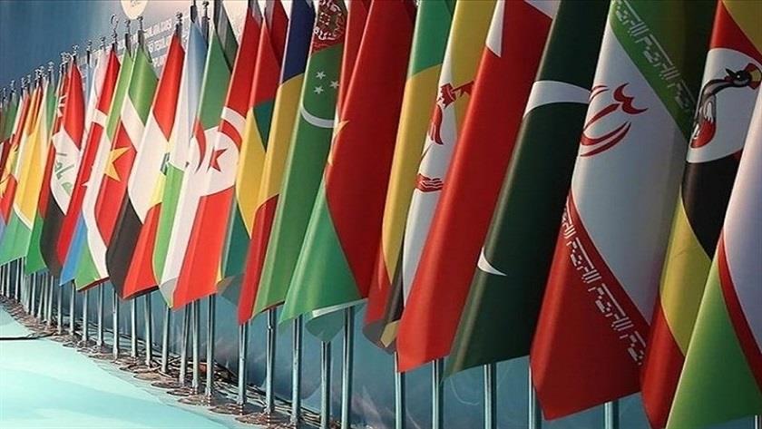 Iranpress: OIC: US veto of Palestine