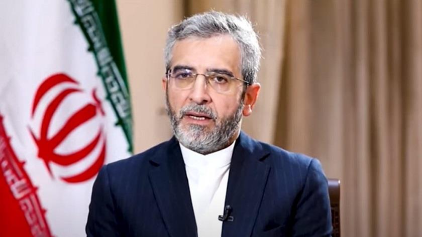Iranpress: Iran urges BRICS to stop Israeli crimes in Gaza Strip