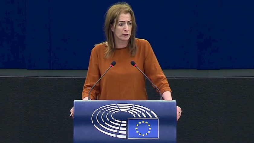 Iranpress: Accusing Iran of destabilizing region is a fairy tale: EU MP