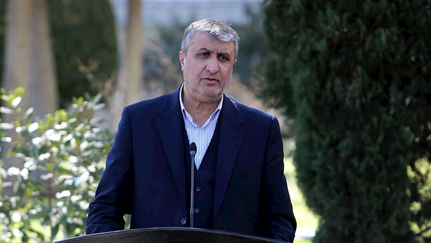 Iranpress: 130 IAEA inspectors currently have access to Iranian nuclear sites: Eslami