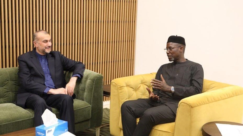 Iranpress: Iranian FM arrives in Gambia