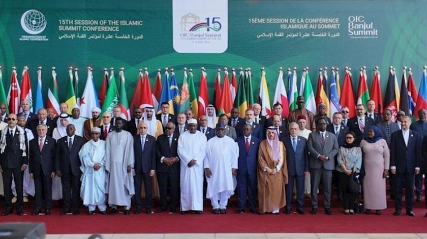 Iranpress: OIC meeting kicks off in Gambia with Iranian FM presence