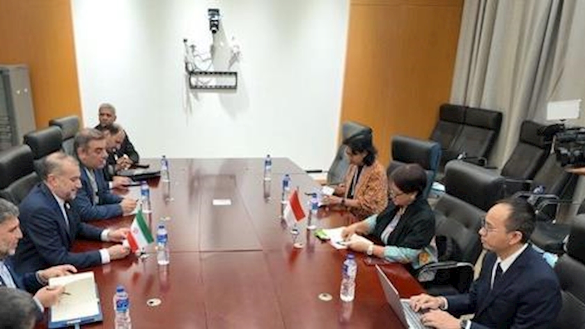 Iranpress: Iran and Indonesian FMs meet at OIC sideline in Gambia