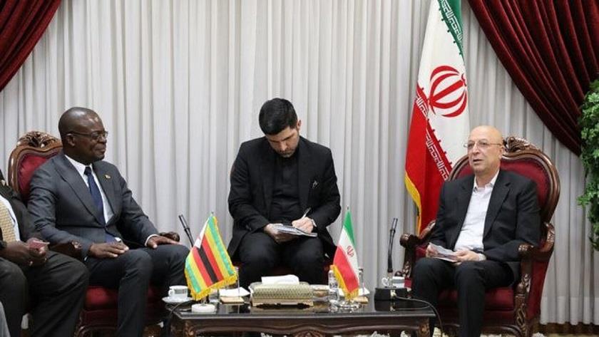 Iranpress: Iran to launch Persian language courses at Zimbabwean Universities