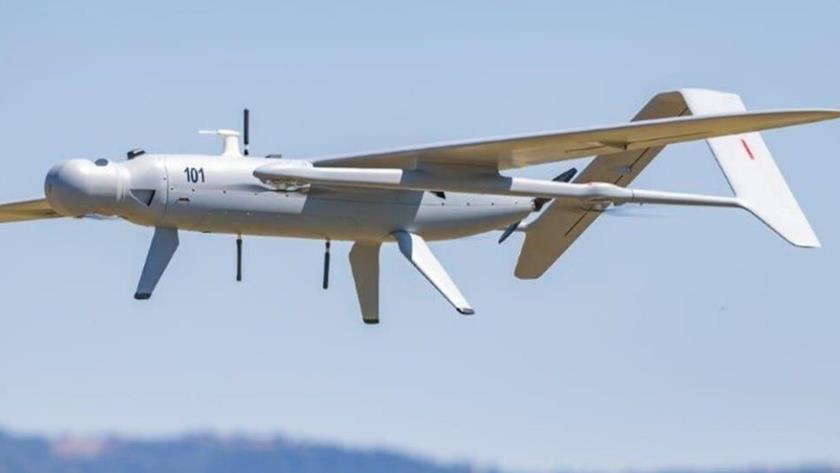 Iranpress: Palestinian resistance controls Israeli Skylark drone 