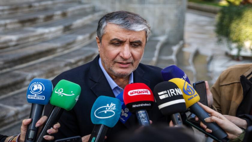 Iranpress: Two Unresolved Issues Between Iran, IAEA in Progress: AٍEOI Chief 