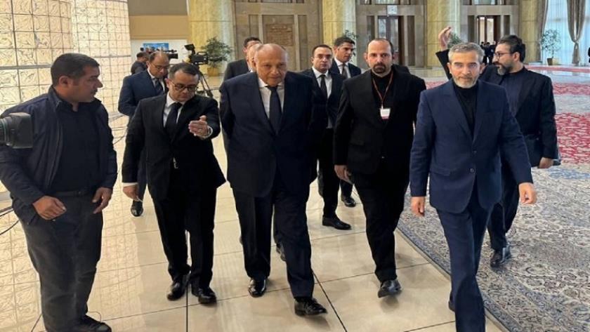 Iranpress: Iran continues to improve its relations with Islamic countries