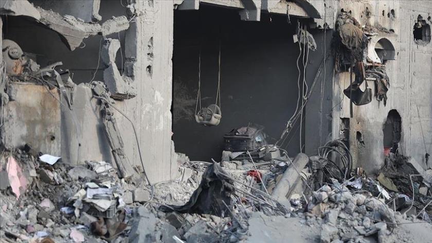 Iranpress: D-8 Group To Take United Stance Against Israeli Crimes in Gaza