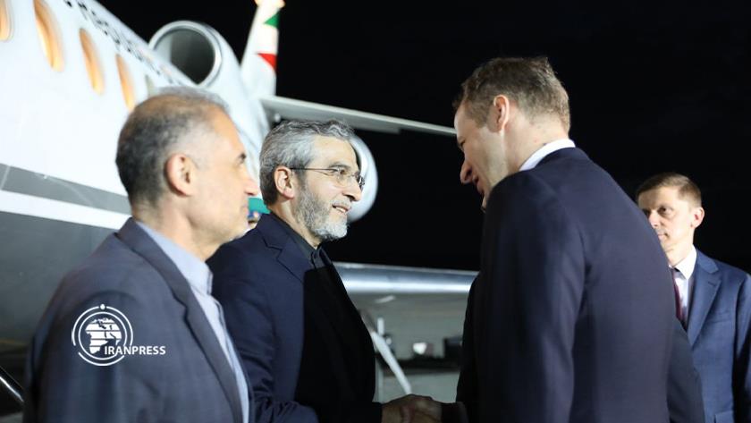 Iranpress: Bagheri: Iran