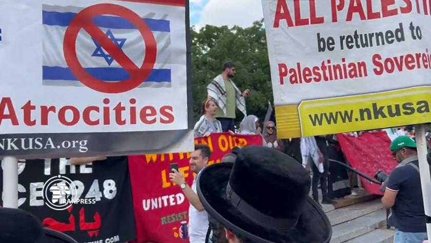 Iranpress: Pro-Palestine New Yorkers Declare 