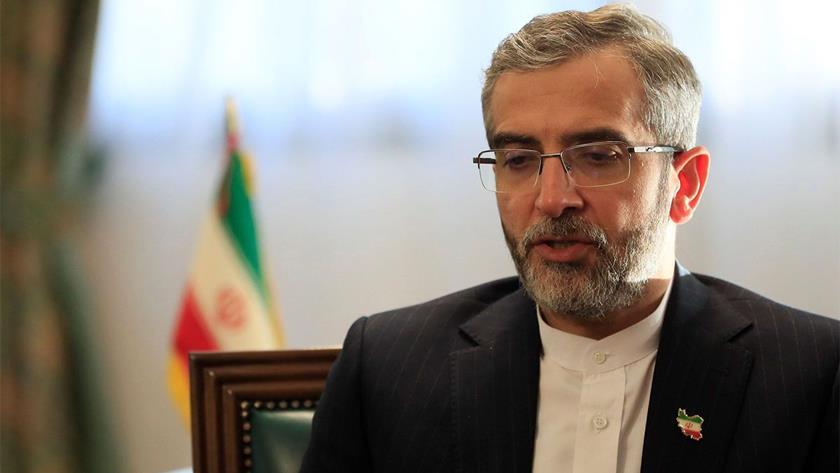 Iranpress: Canada’s move against IRGC, a gift to Zionists: Acting FM