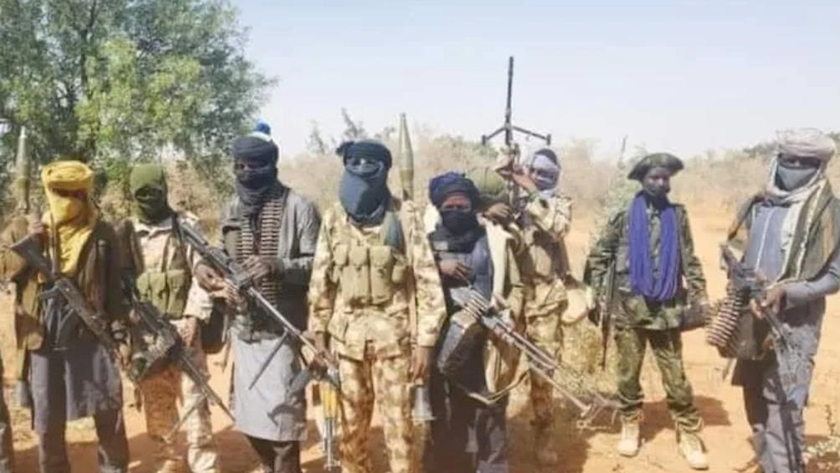 Iranpress: Terrorists in Nigeria Kill 10, Abduct 50 People and Burn Village