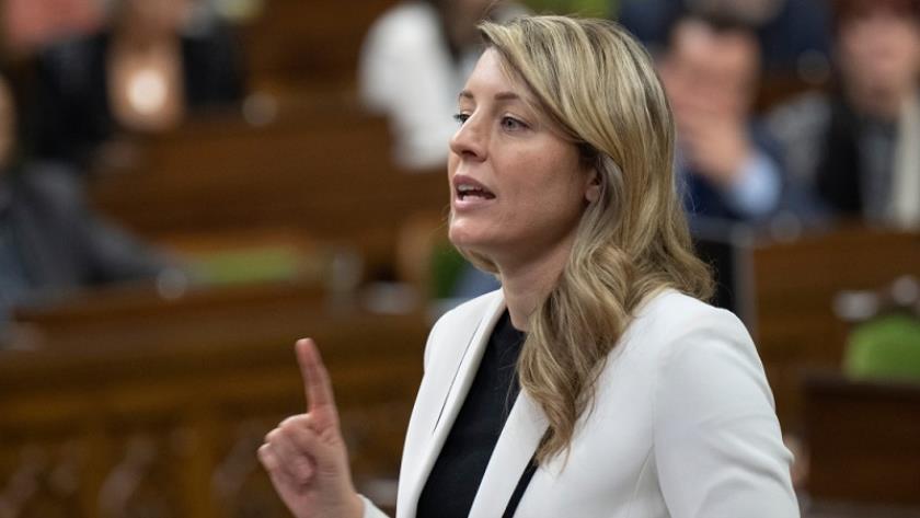 Iranpress: Canada urges citizens to leave Lebanon