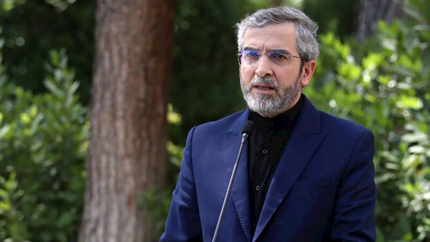 Iranpress: Iran-Neighbors mutual trust should be kept for region stability: Acting FM