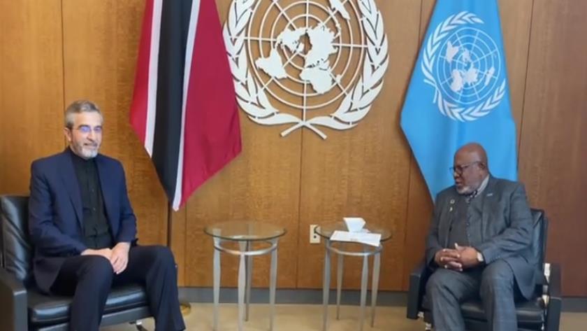 Iranpress: Iran Acting FM Discusses Gaza with UN General Assembly President
