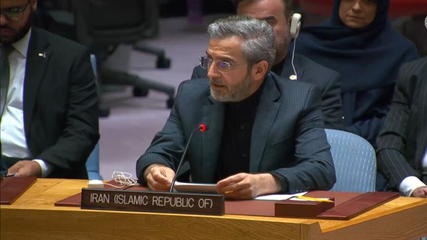 Iranpress: Iran urges UNSC to oblige Zionist  Regime to unconditionally end Gaza genocide
