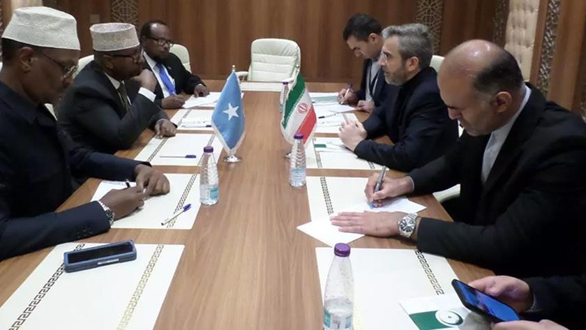 Iranpress: Iran Welcomes  Somalian Government