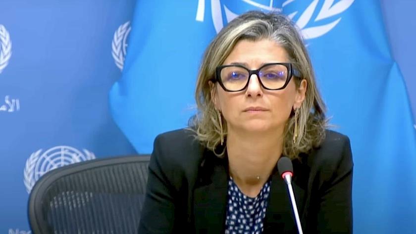 Iranpress: UN: Israel Commits Successive Genocides at Schools in Gaza Strip