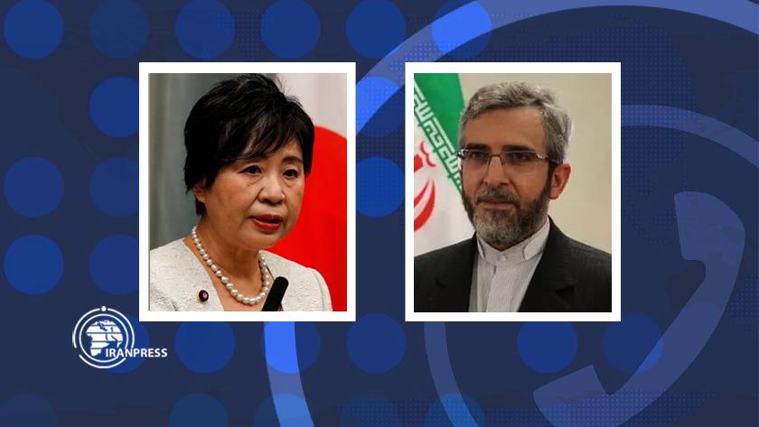 Iranpress: Japan Concerns About The Situation In West Asia
