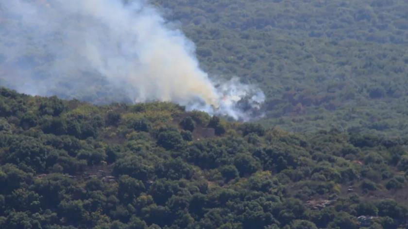 Iranpress: Hamas Official Survives Israeli Drone Strike in Lebanon 