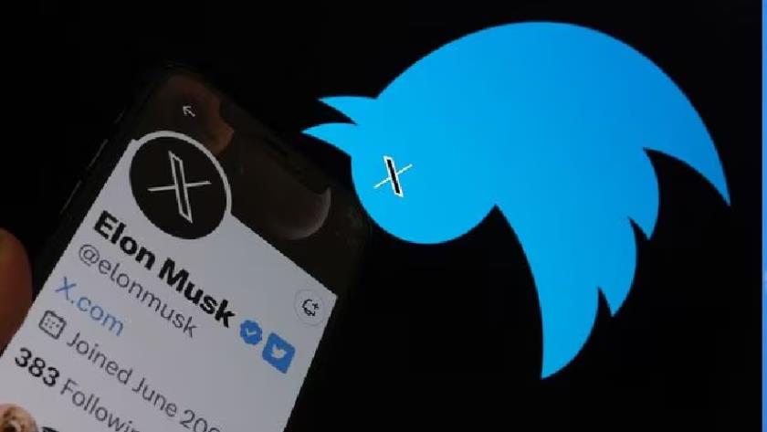 Iranpress: Brazil to Suspend X Social Media Platform