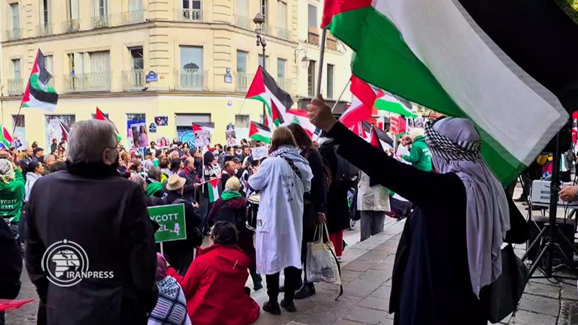 Iranpress: French Demonstrations in Support of Lebanon, Palestine