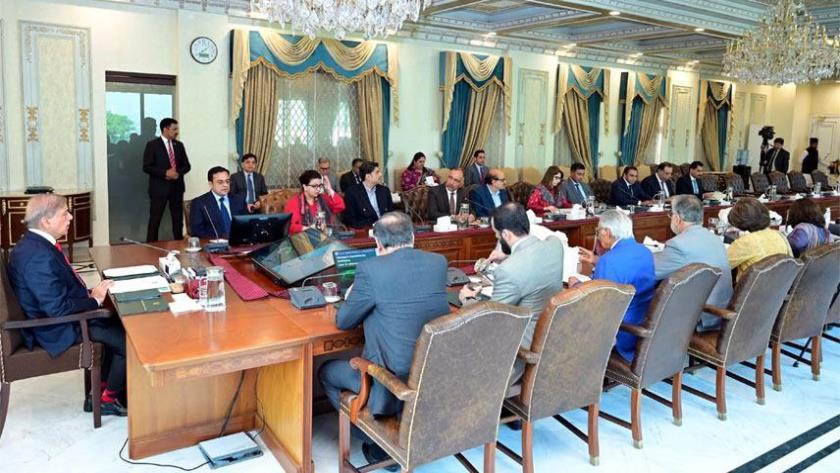 Iranpress: Pakistan Steps Up Humanitarian Aid Delivery to Gaza and Lebanon