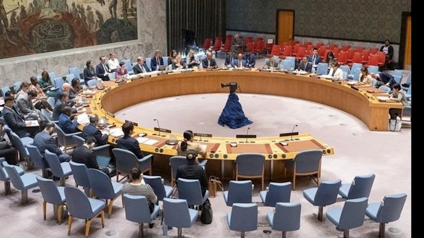 Iranpress: 52 Countries Send Letter to UNSC to Stop Arming Israeli Regime