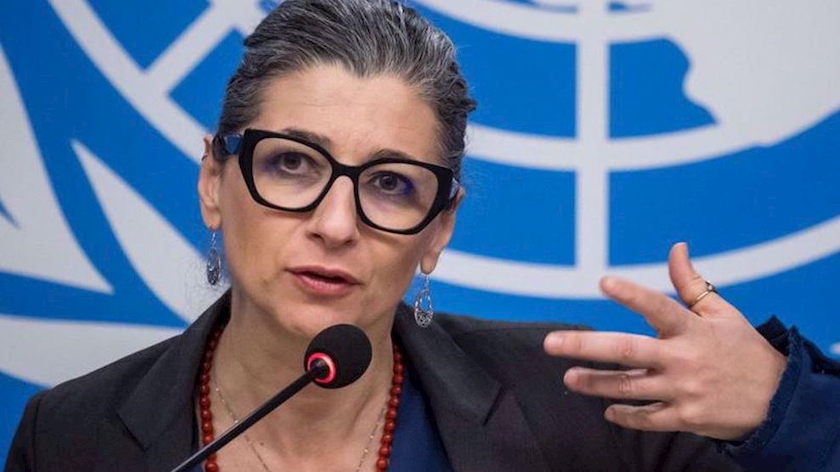 Iranpress: UN Expert Condemns Western Media for ‘Obscuring’ Israeli Violence in Amsterdam