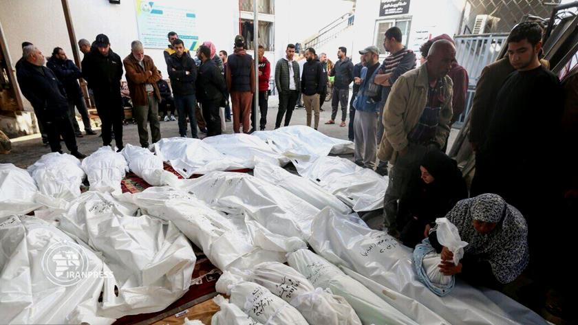 Iranpress: Death Toll in Gaza Rises to Over 43,799 Amid Ongoing Conflict