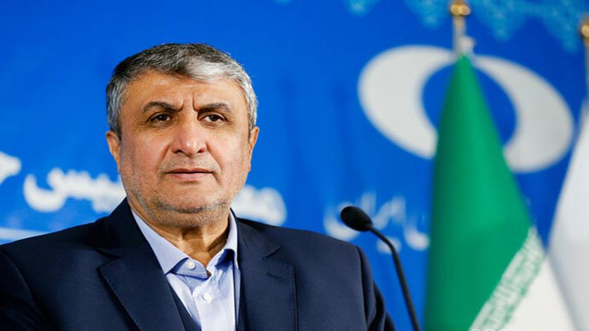 Iranpress: Iran to Unveil New Nuclear Achievements on National Nuclear Technology Day