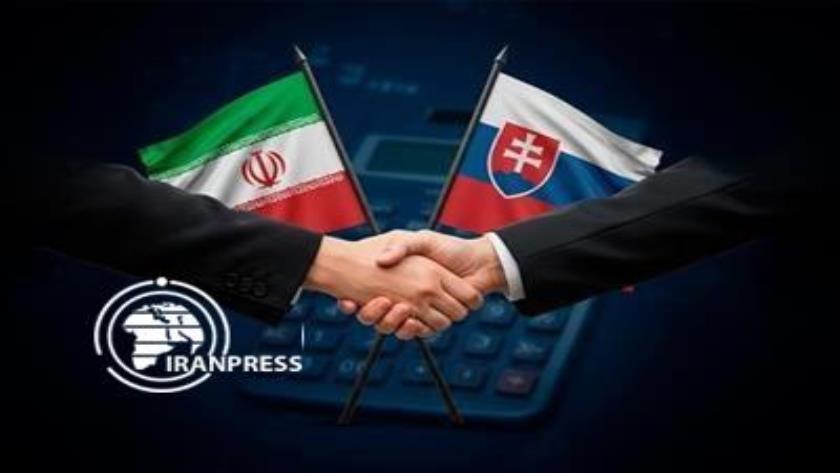 Iranpress: Amendment Protocol for Iran-Slovakia Double Taxation Avoidance Agreement to Be Signed