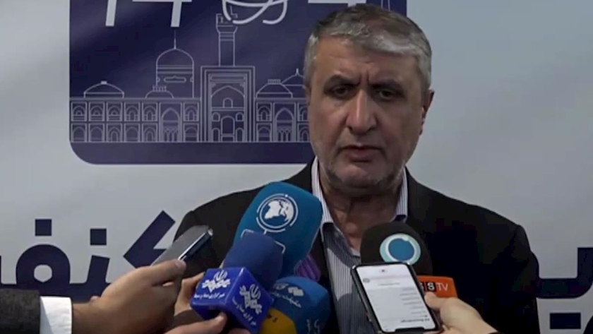 Iranpress: AEOI Chief: Iran Has No Nuclear Secret Site, Covert Activities