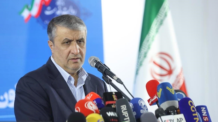 Iranpress: AEOI Chief Says Iran Has Potential to Be Hub for Radiopharmaceuticals
