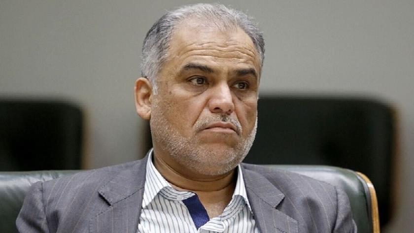 Iranpress: Diversifying Economies Is Essential for Sustainability of Islamic Countries: Minister