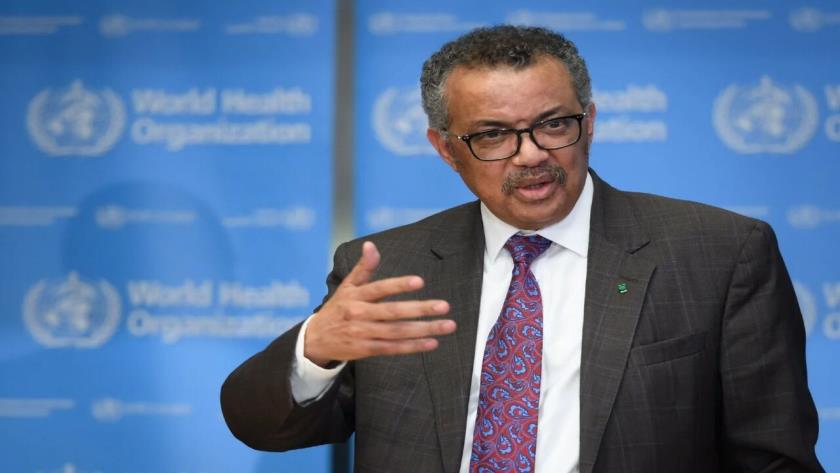 Iranpress: WHO Warns Collapse of Gaza’s Health System 