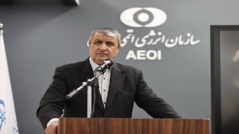 Iranpress: Iran AEOI: Nuclear Facilities Are in Proper Condition