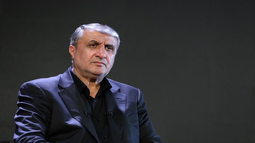 Iranpress: Eslami: Iran Pursuing Legal Action Regarding IAEA Inactions
