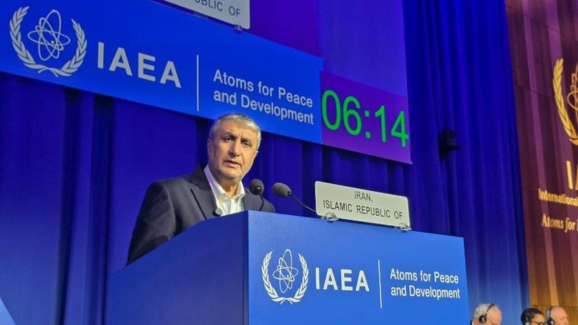 Iranpress: AEOI Head Blames IAEA Silence, Inaction