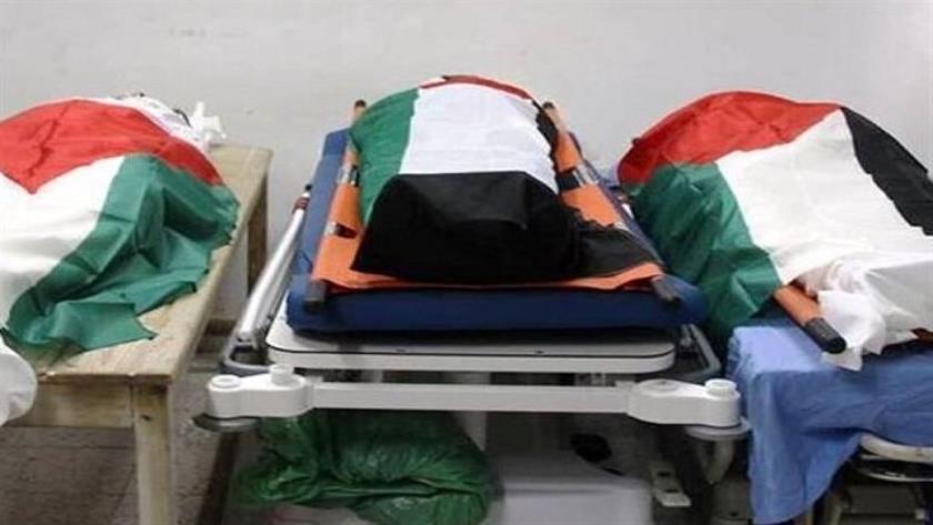Iranpress: Gaza Health Ministry: Organ Theft Found in Returned Palestinian Bodies