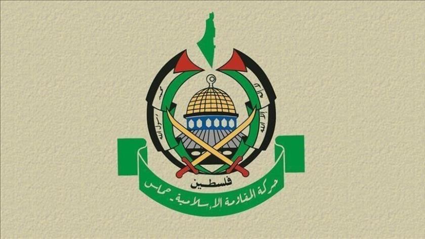 Iranpress: Hamas Welcomes ICJ