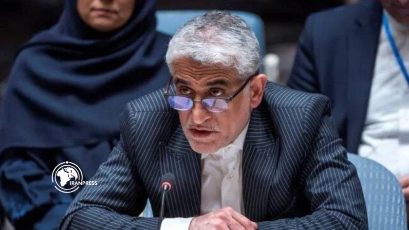Iranpress: Iran Supports All Efforts to End Palestinian Suffering