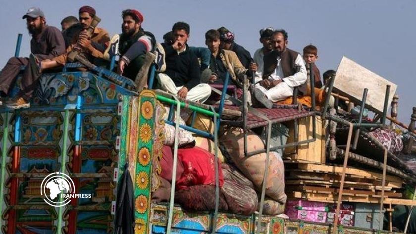 Iranpress: 262 Afghan Migrant Families Return from Iran and Pakistan