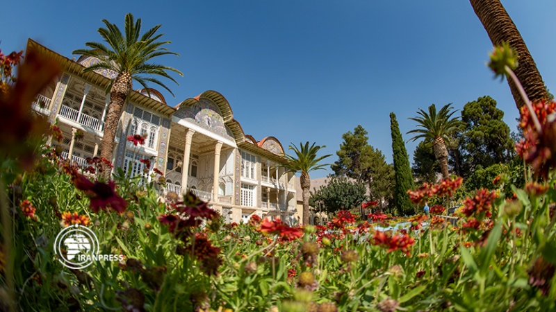 Iranpress: Shiraz, Le Jardin d