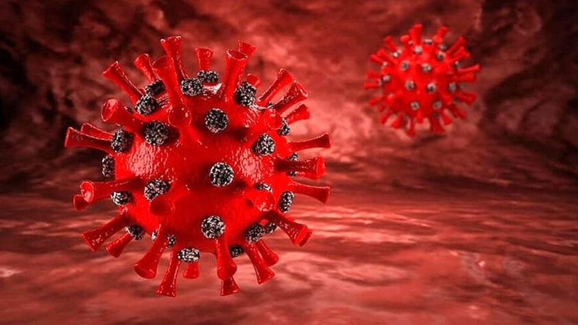 Iranpress: Le respect du protocole de santé, clé pour lutter contre le COVID-19 britannique inconnu