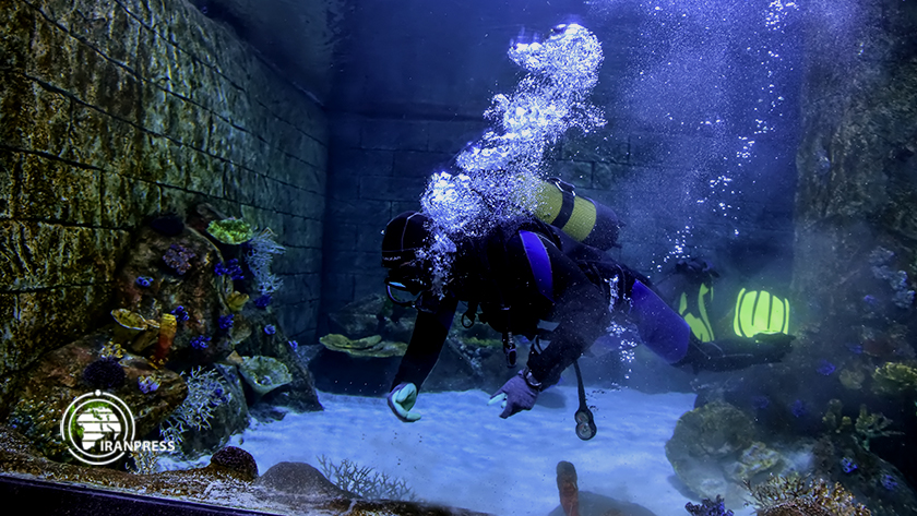 Iranpress: Bandar Anzali; plus grand aquarium d